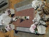 image of grave number 968784